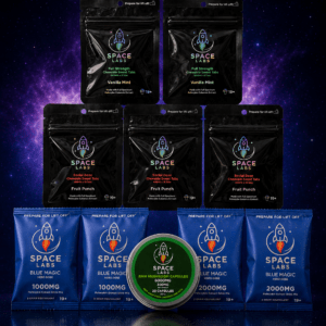 Curious Voyager Bundle