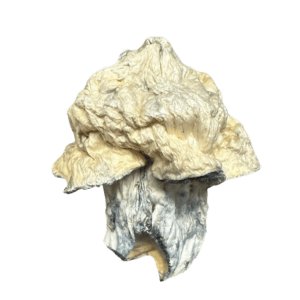 Iceberg